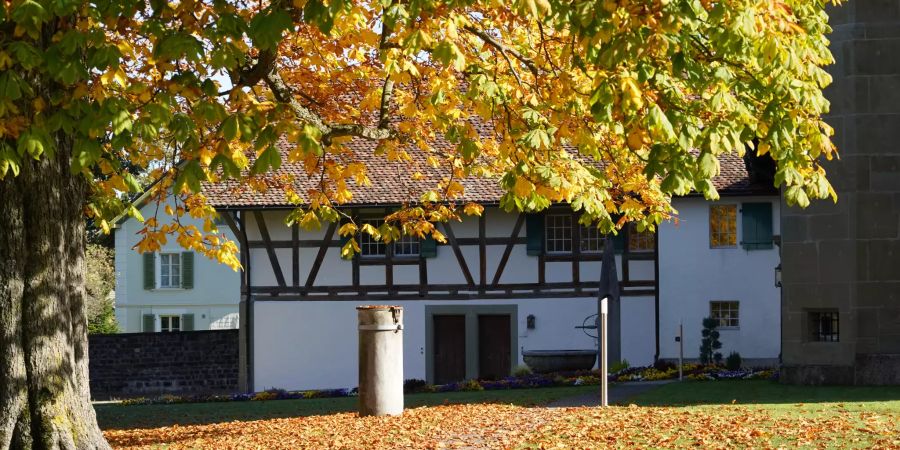 Schloss Schwarzenburg.