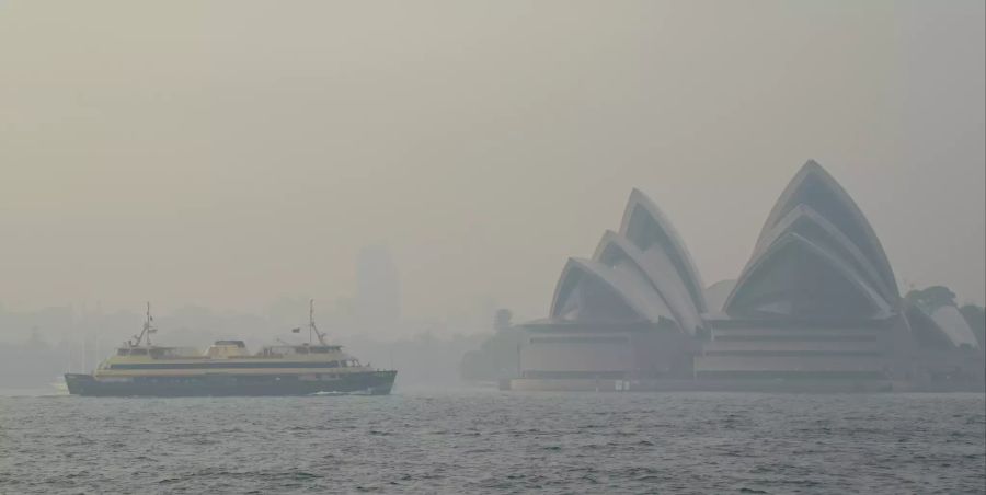 rauch sydney opera house