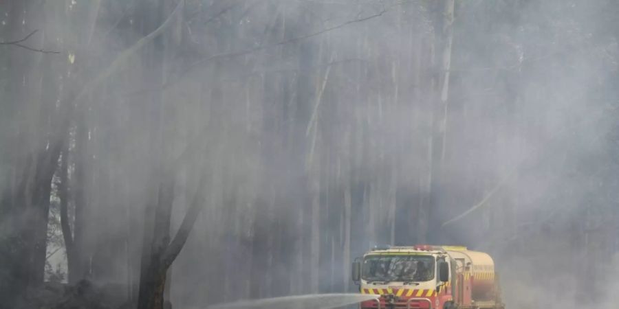 Die Feuerwehr im Einsatz gegen einen Brand in Glenreagh