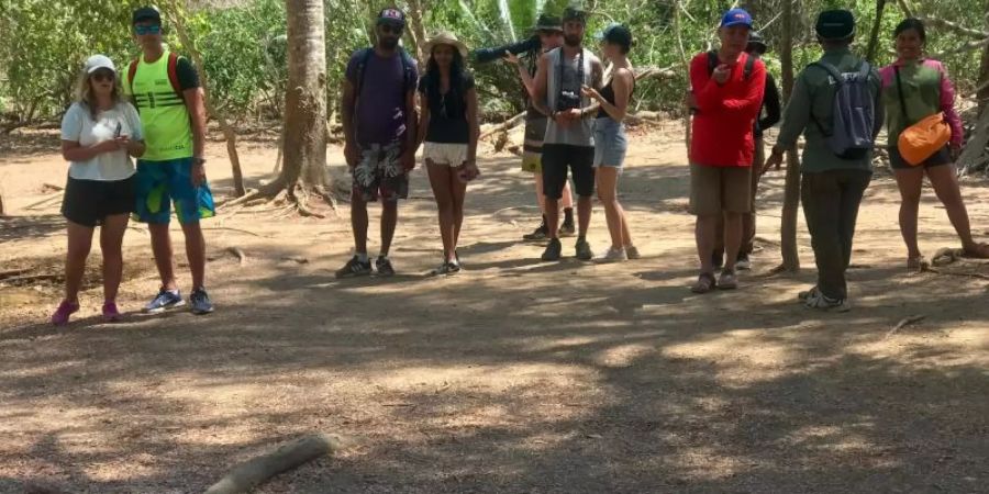 Touristen betrachten aus gebührender Entfernung einen Komodowaran. Foto: Christoph Sator/dpa