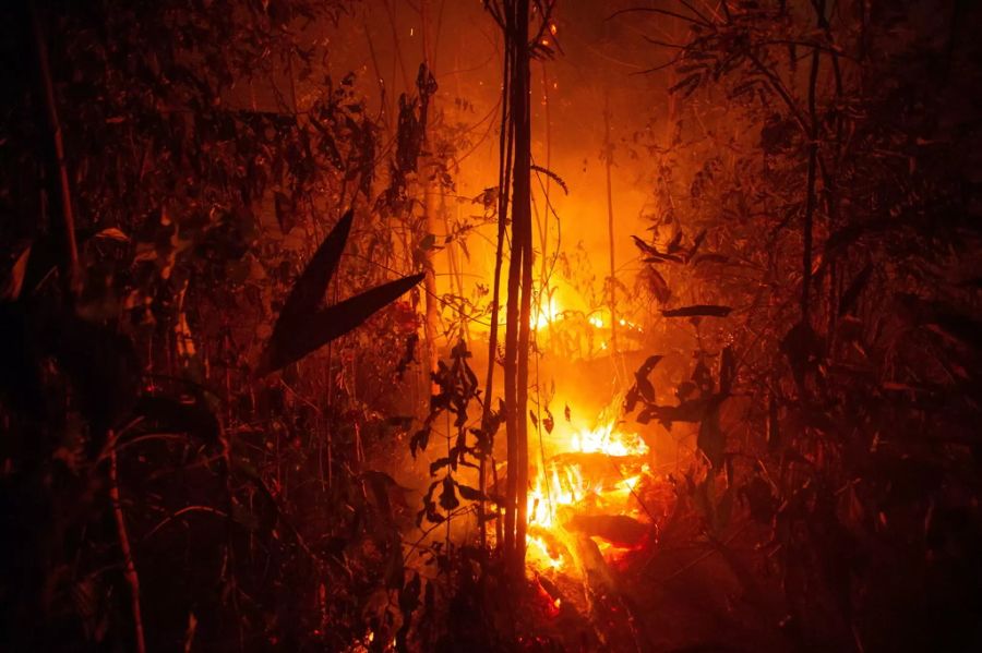 Die Brände im Amazonas waren die schwersten seit 2010.