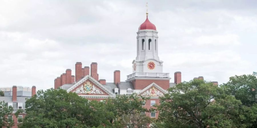 Harvard university