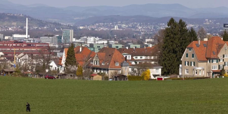Bruderholz