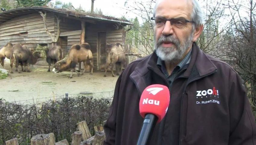 wehinachten-im-zoo