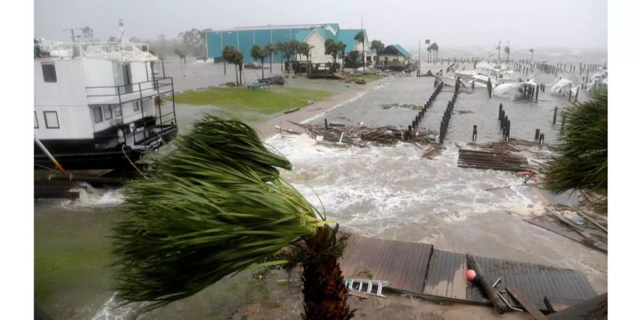 Gesunkene Boote und zersauste Palmen in Port St. Joe Marina in Florida.