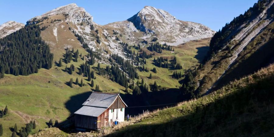 Eine Alp im Kanton Schwyz.