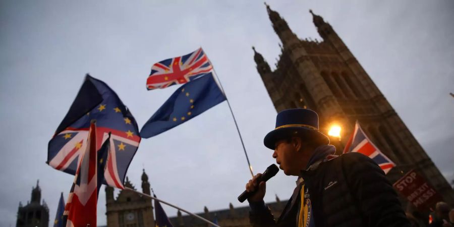 Menschen protestieren vor dem Westminster Palace, dem Sitz des britischen Parlaments, gegen den Bexit-Deal.