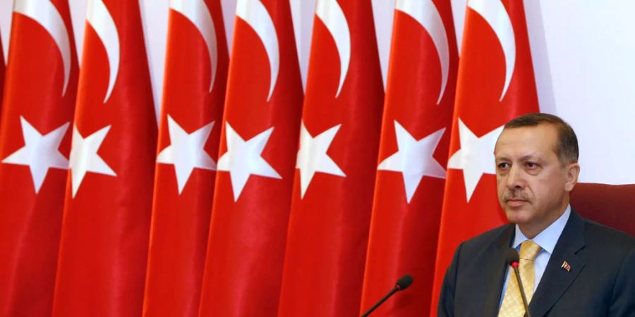 Erdogan vor Türkei-Flaggen.