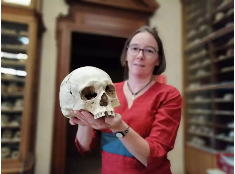 Die stellvertretende Leiterin der osteologischen Sammlung des Wiener Naturhistorischen Museum (NHM), Karin Wiltschke, hält den Schädel eines männlichen Gewaltopfers, das vor rund 1000 Jahren starb.