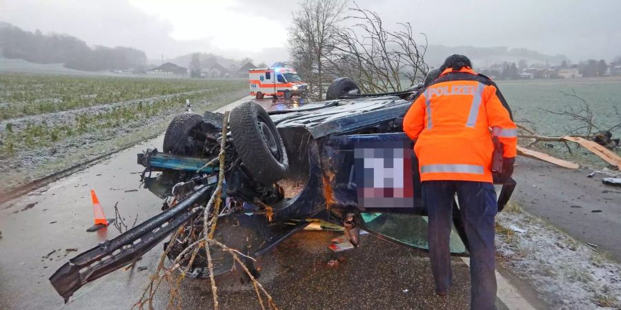 Bei einem Unfall entwurzelte ein Lernfahrer gleich einen Baum.