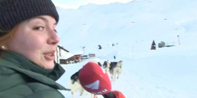 Action im Bündnerland - Schlittenhunde geben Vollgas
