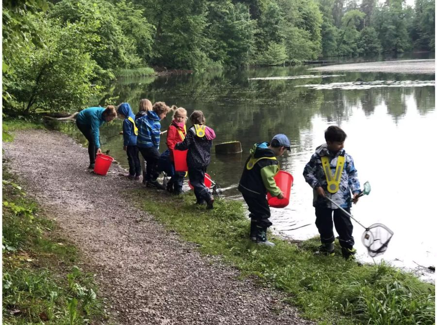 Projekttag Wasser Wald Oeggisbühl Oelwiese