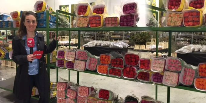 Wegen Valentinstag - Um 05 Uhr stürmen Floristen die Blumenbörse Zürich
