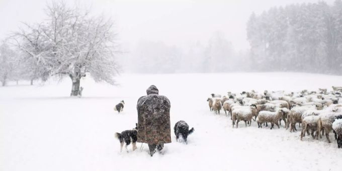 Weniger, aber grösser - So haben sich Landwirtschaftsbetriebe verändert