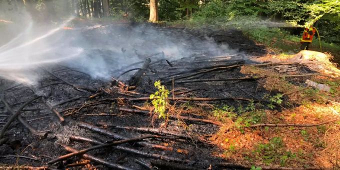 Die Feuerwehr beim Löscheinsatz im Menzlenwald. Die Feuerwehr beim Löscheinsatz im Menzlenwald.