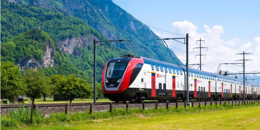 Der Intercity, der um 9.49 Uhr Biel verliess, erfasst kurz danach die drei Schafe. (Symbolbild)