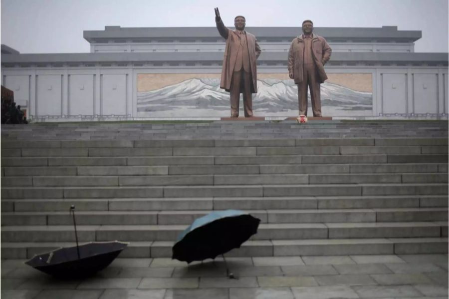 Während dem Koreakrieg wurden viele Menschen auseinandergerissen.