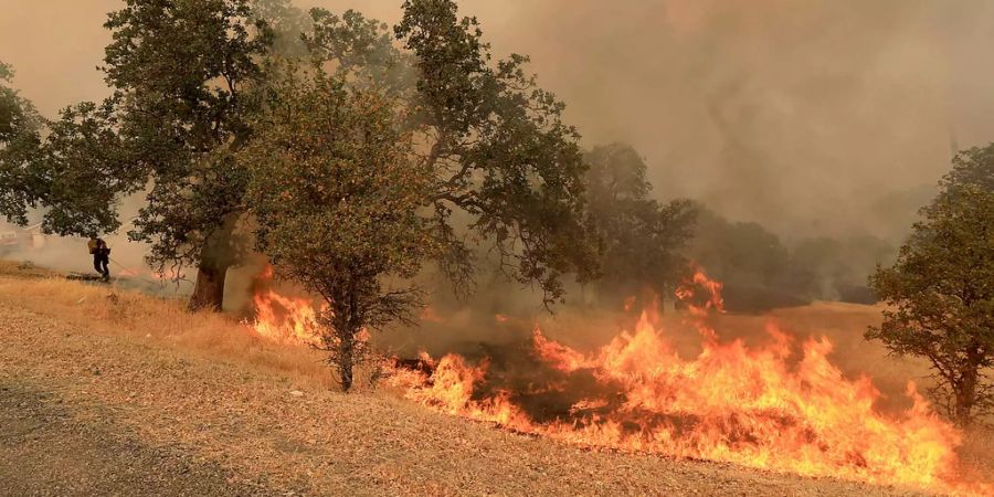 Ein Feuerwehrmann bekämpft einen Ableger des Waldbrands im Spring Valley, Kalifornien.