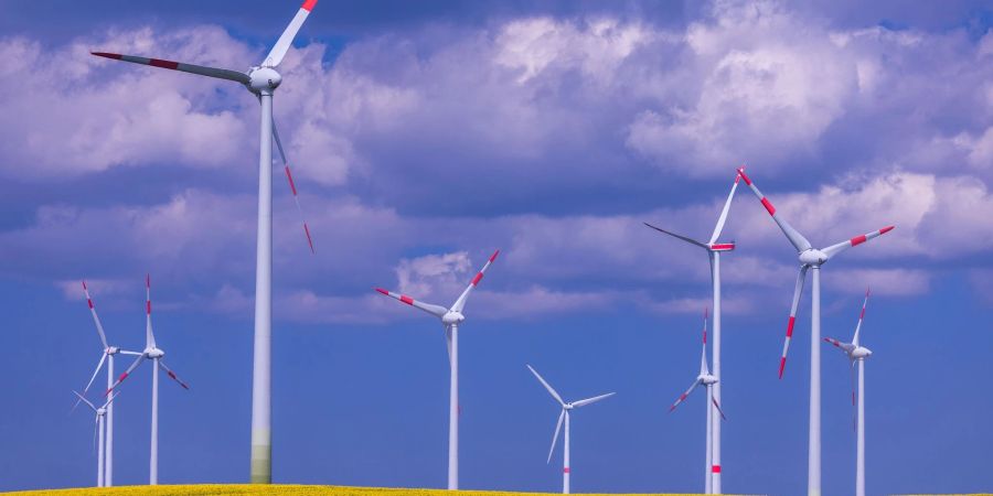 Windkraftanlagen hinter einem blühenden Rapsfeld in einem Windpark.