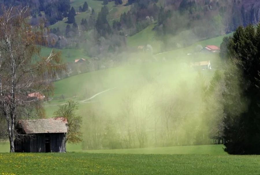 Grund sind insbesondere Gräser-Pollen: Weil es so viel geregnet und die Bauern teilweise erst jetzt mähen können, erleben diese ein Hoch.