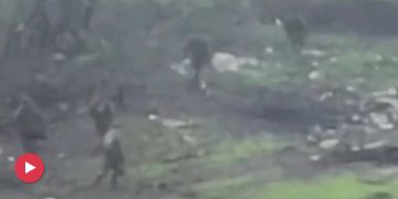 Ukraine Krieg flüchtende Soldaten