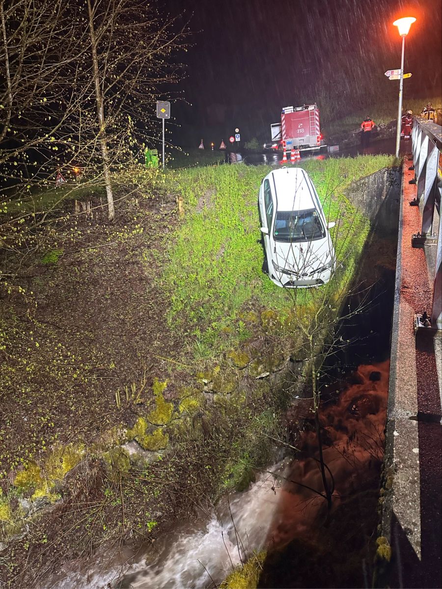 Das Auto musste mit einem Hebkran geborgen werden.