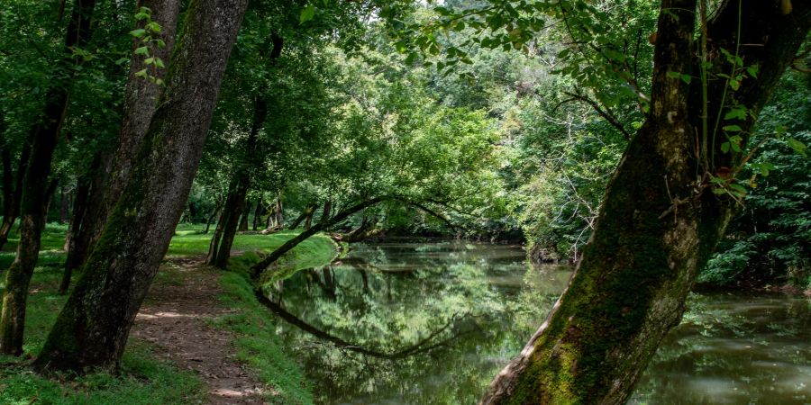 Gewässerpflege Ufer Unterhaltsarbeiten