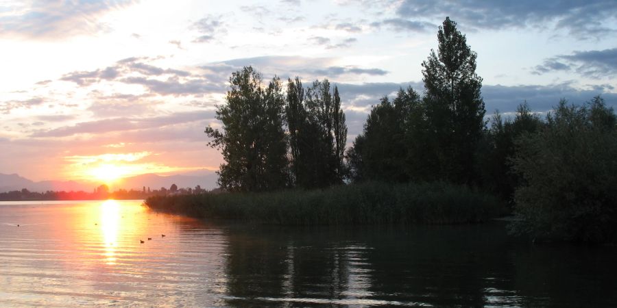 Sonnenaufgang über der Seeanlage in Pfäffikon SZ.