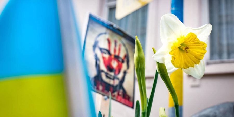 Oft sind Protestaktionen gegen den russischen Angriffskrieg friedlich - wie hier in Frankfurt. Gerade in den ersten Kriegswochen verzeichnete das BKA jedoch auch anti-russische Straftaten. (Symbolbild)