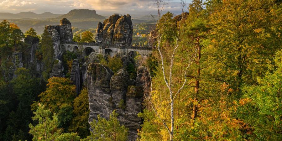 Sonnenlicht fällt am Morgen auf die Bäume im Nationalpark Sächsische Schweiz nahe der Basteibrücke. Das Parkmanagement weist Wanderer bereits zum Start in die Saison auf die hohe Brandgefahr hin.