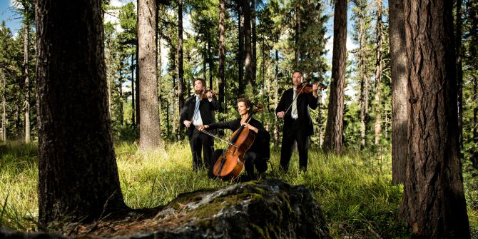 Konzert im Wald.