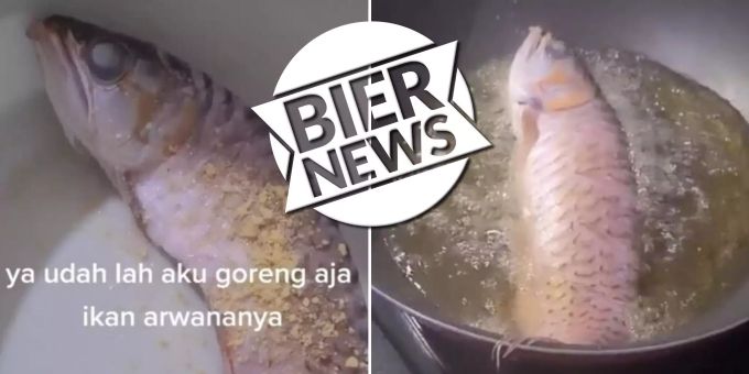 Aus Rache - Hässige Frau frittiert teuren Raubfisch ihres Mannes
