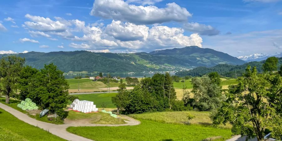 Der Ausblick über Meierskappel.