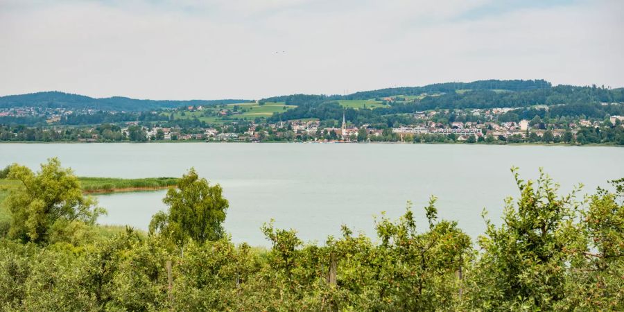 Blick auf den Pfäffikersee, im Hintergrund die Gemeinde Pfäffikon (ZH).