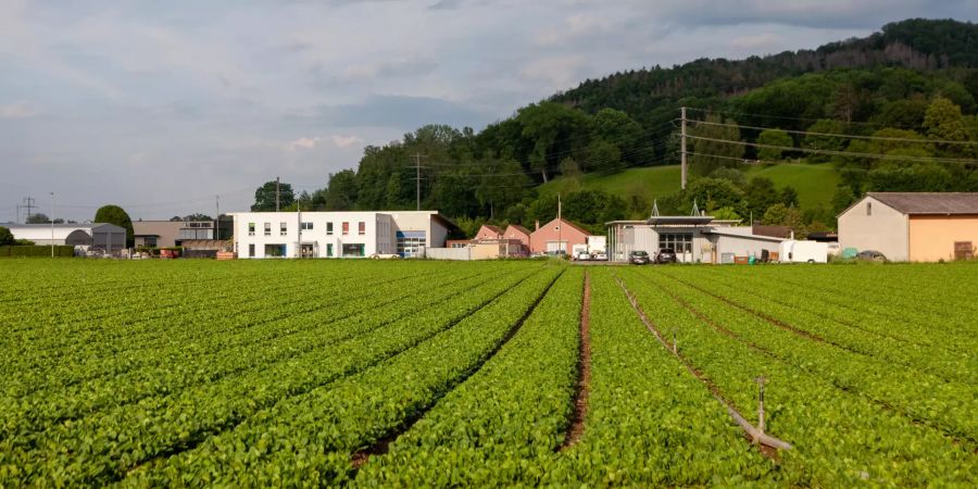 Industriegebiet in Ramsen