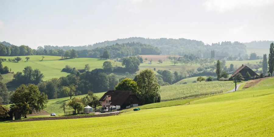 Landwirtschaft in der Gemeinde Schlossrued.