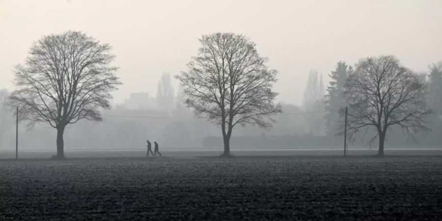 Puchheim in Bayern
