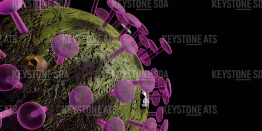In der Schweiz und in Liechtenstein sind dem Bundesamt für Gesundheit (BAG) am Montag innerhalb von 96 Stunden 36'261 neue Coronavirus-Ansteckungen gemeldet worden. Gleichzeitig registrierte das BAG 69 neue Todesfälle und 345 Spitaleinweisungen.