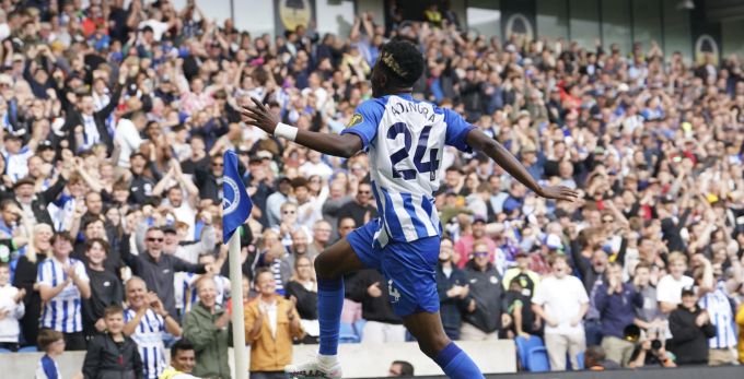 Brighton hat sich in der Premier League etabliert. Premier League