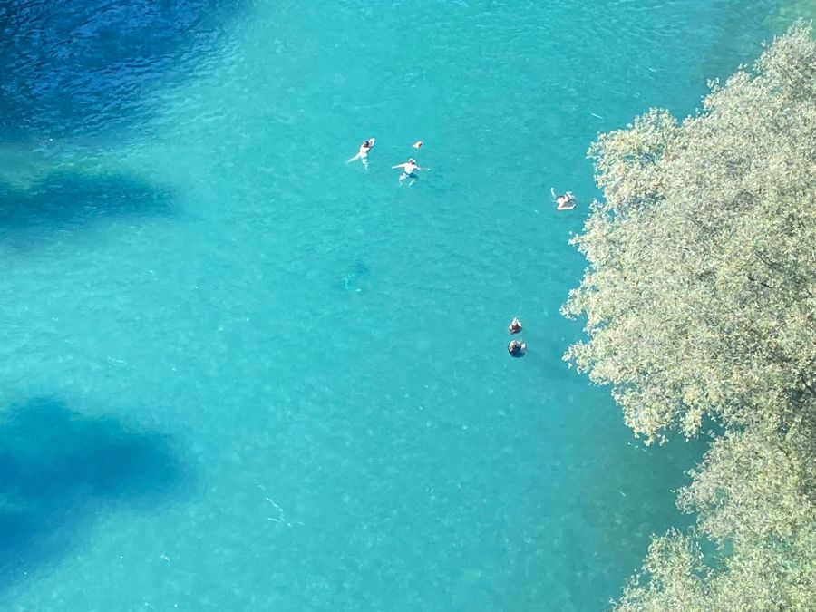 Der Anbieter geht davon aus, dass das Trottinett von Vandalen im Fluss versenkt wurde.