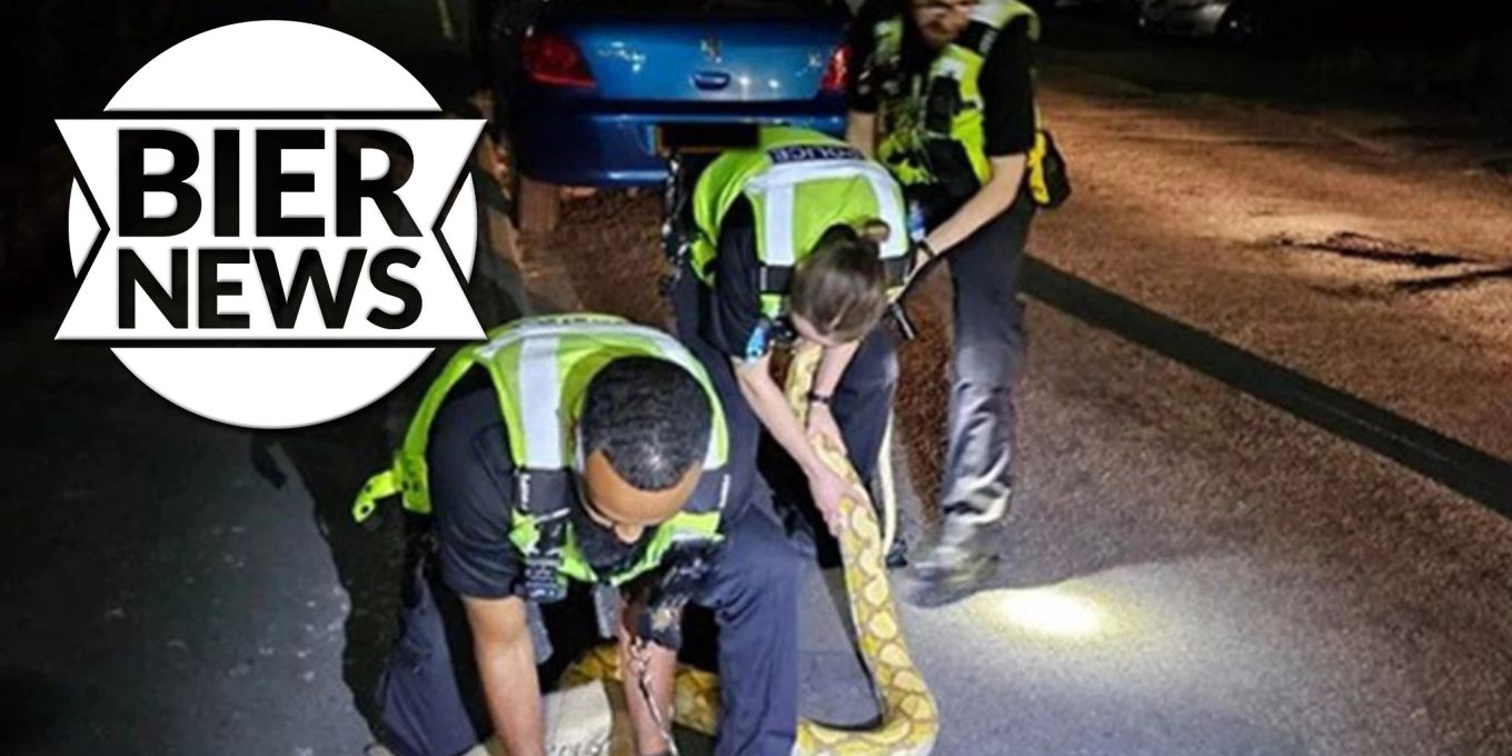 6 Meter Python Attack Polizei fängt 3,6 Meter lange Python auf der Strasse ein | Nau.ch