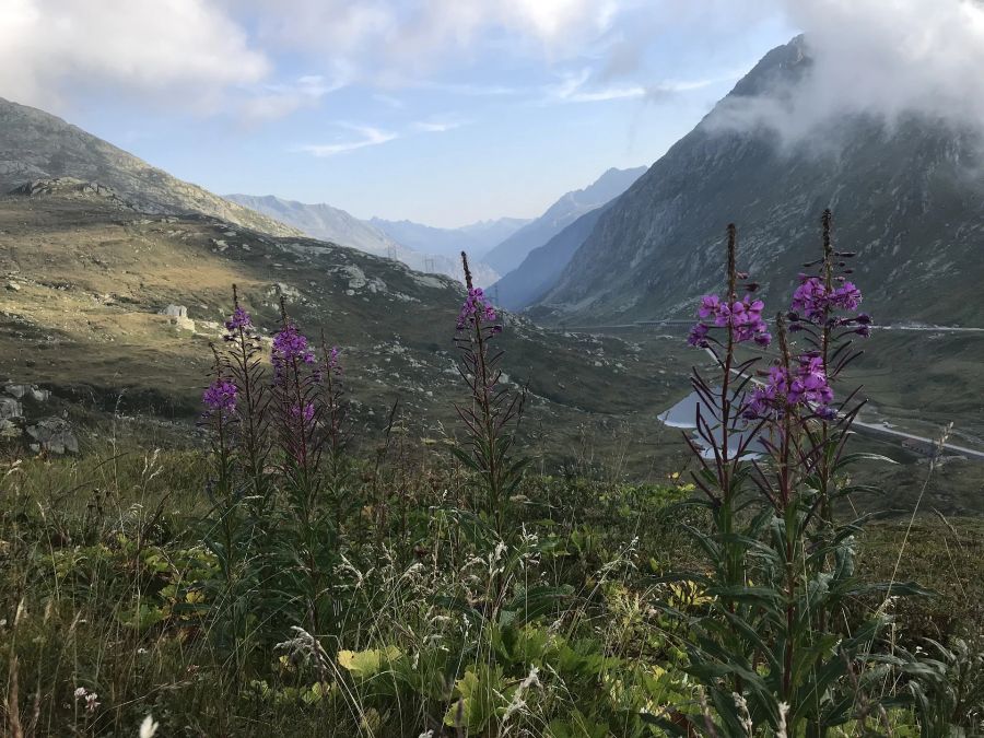 Passo del Lucomagno, Lukmanierpass