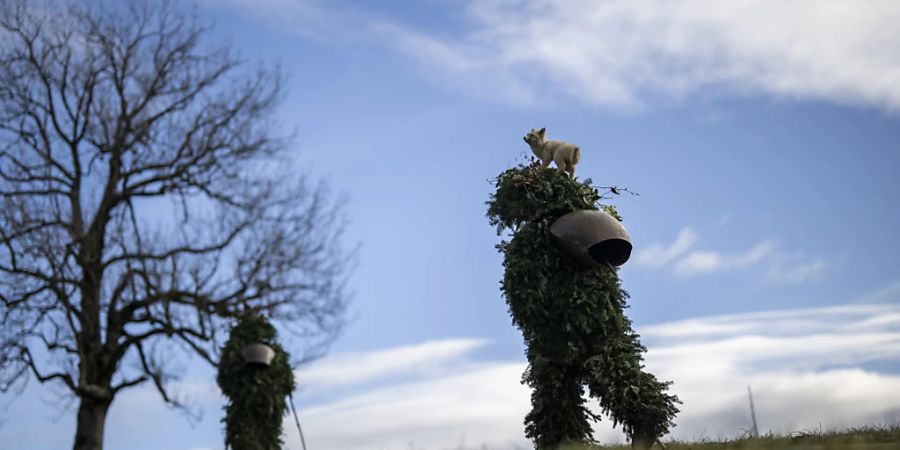 In Appenzell Ausserrhoden wird am «Alten Silvester» ein eindrücklicher Winterbrauch gefeiert. Gruppen von Chläusen, sogenannte «Schuppel», besuchen auf ihren individuellen Routen die Bauernhöfe.