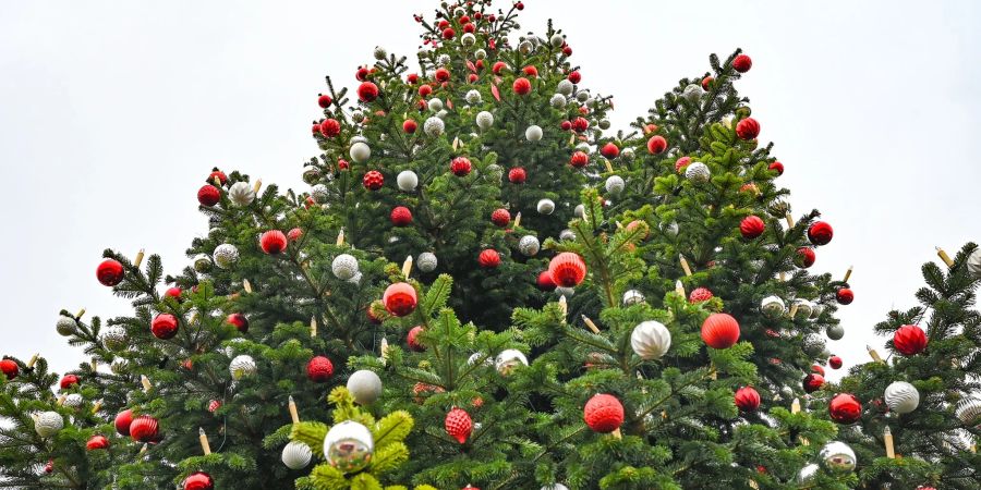 weihnachtsbaum