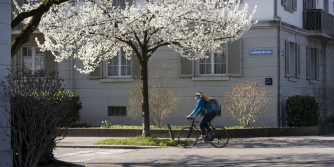 strava preiserhöhung