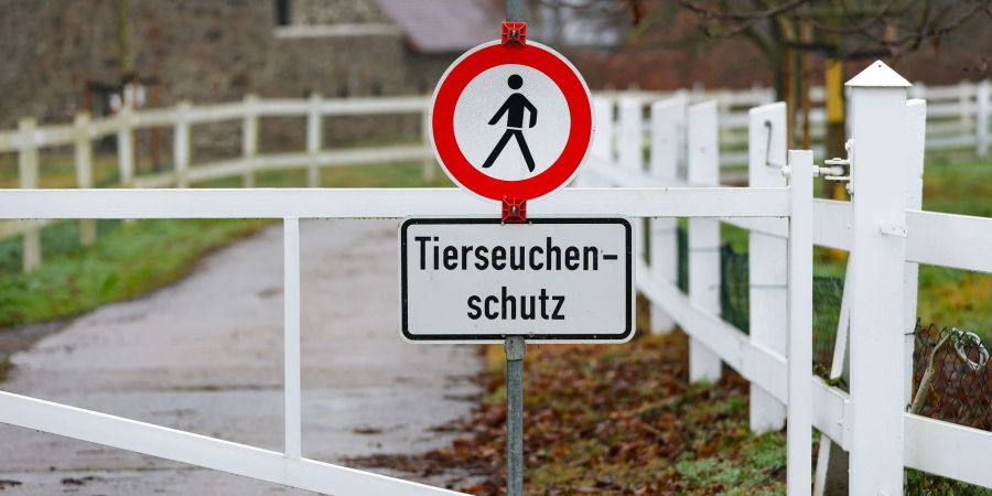 Ein Schild verweist am Eingang zu einer Gänsezucht im sächsischen Wermsdorf auf den Tierseuchenschutz.