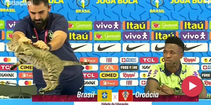 Im Video - Katze crasht Brasilien-PK – Medienchef wirft sie vom Tisch!