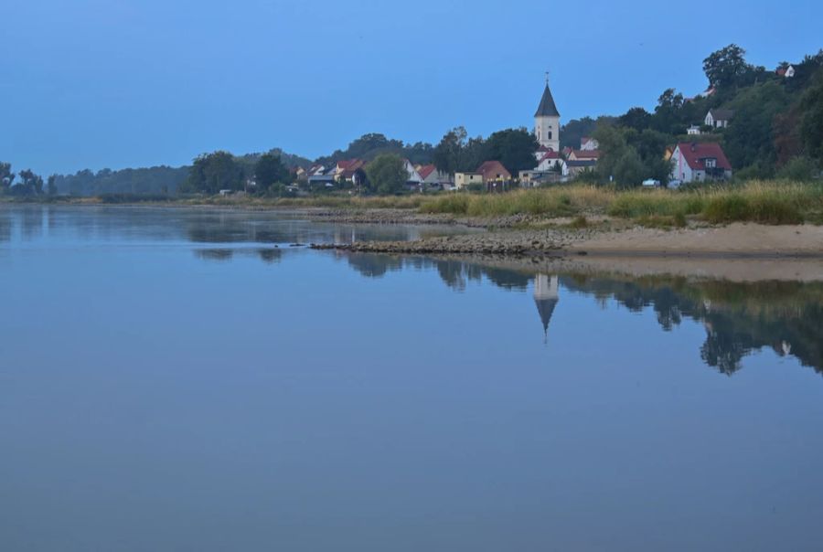 Fischsterben Oder