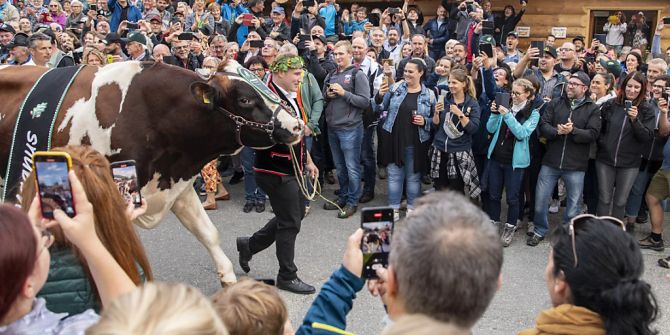 Schwingerkönig Joel Wicki