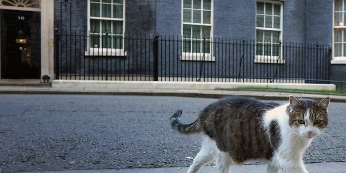 ARCHIV - «Oberster Mäusejäger» Larry vor Downing Street Number 10. Foto: Kirsty Wigglesworth/AP/dpa Larry